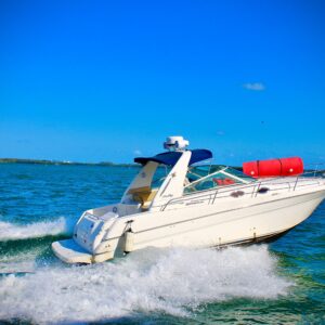 31ft Seay Ray Sundancer